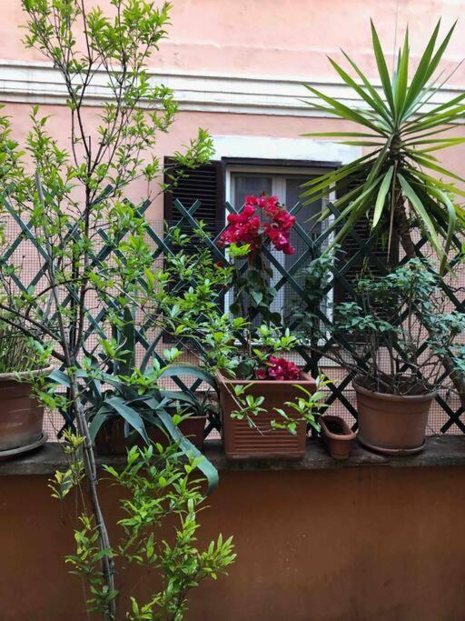 Centro Storico Appartamento Con Terrazza Рим Экстерьер фото
